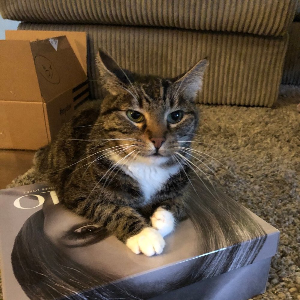 Meet your Posher, Aiden